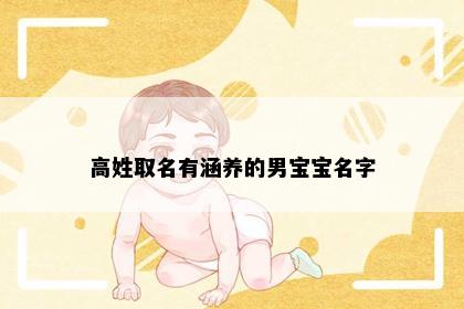 高姓取名有涵养的男宝宝名字