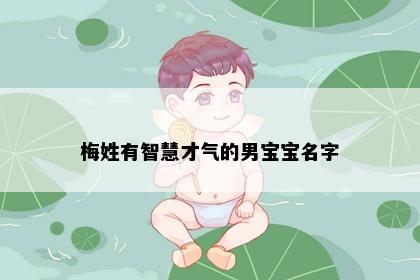 梅姓有智慧才气的男宝宝名字